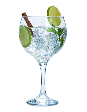 Gin Tonic Cocktail