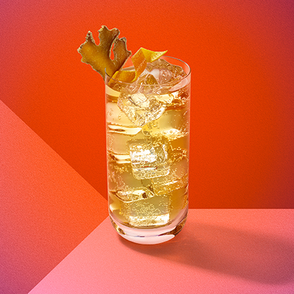 Ginger Lemon Highball Cocktail