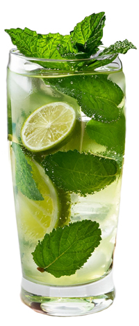 Mojito Cocktail Maken Recept