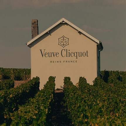 Veuve Clicquot Champagne Kopen